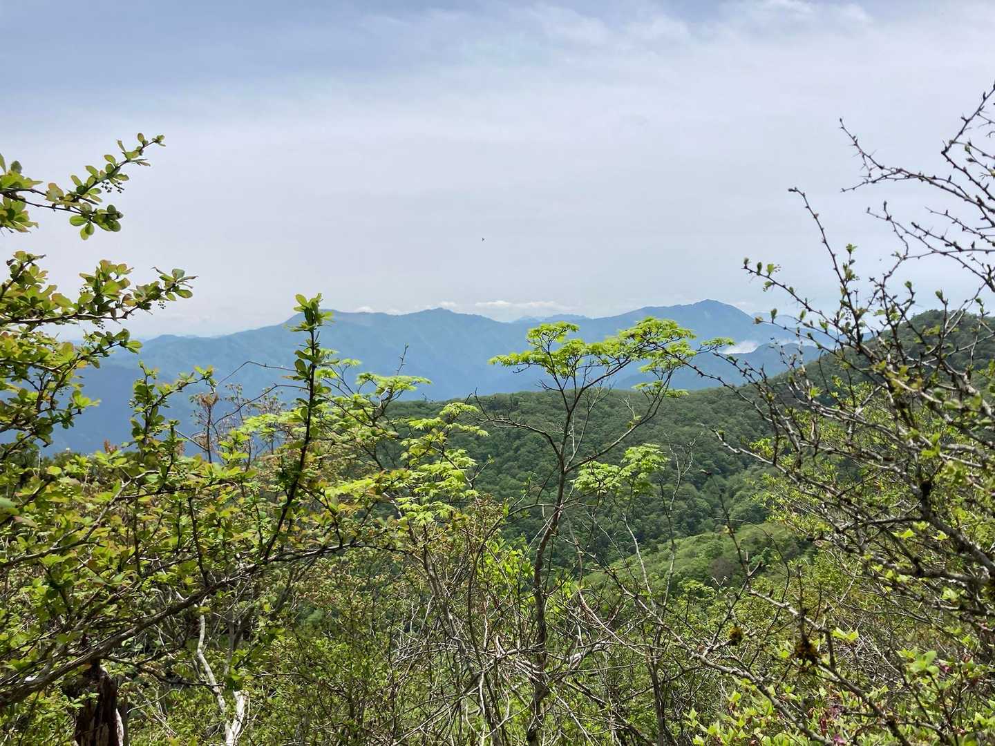 筏津登山口-東赤石山 往復コースの写真