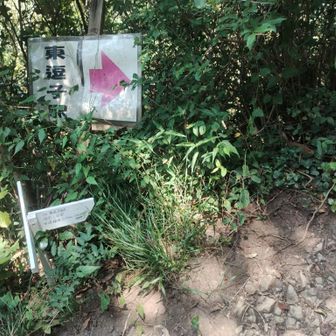 進みたい方向はこっち。

今思えば、この時脱水になりかけていたのかもしれないな。