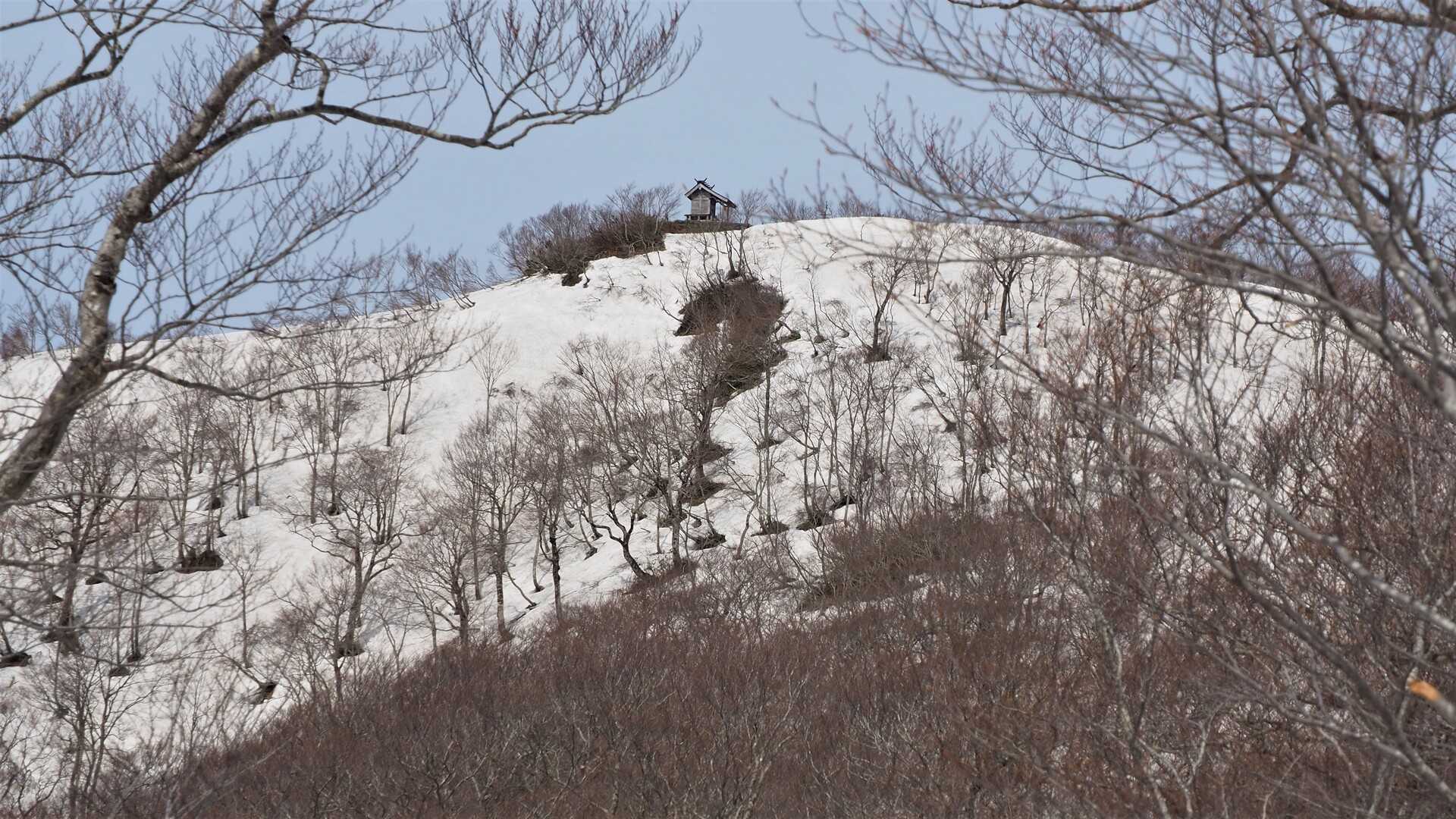 駒ヶ岳の写真