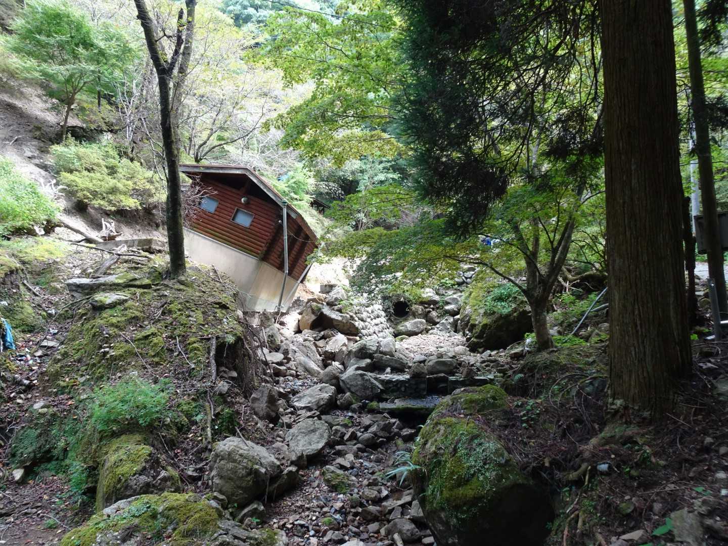 痛ましい姿が、目に入りました。
キャンプ場のトイレです。