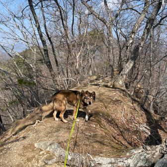 ほっとしているのも束の間、両側ゼッペキ！笑