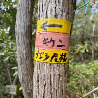 やっぱ危険やんな？先ゆうてくれ…