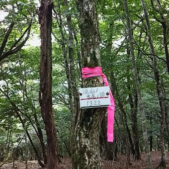 山頂