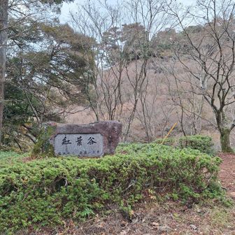 ここが紅葉谷かぁ😃
今年は紅葉🍁が素晴らしかったらしい。来年は紅葉の時期に来てみたいなぁ。