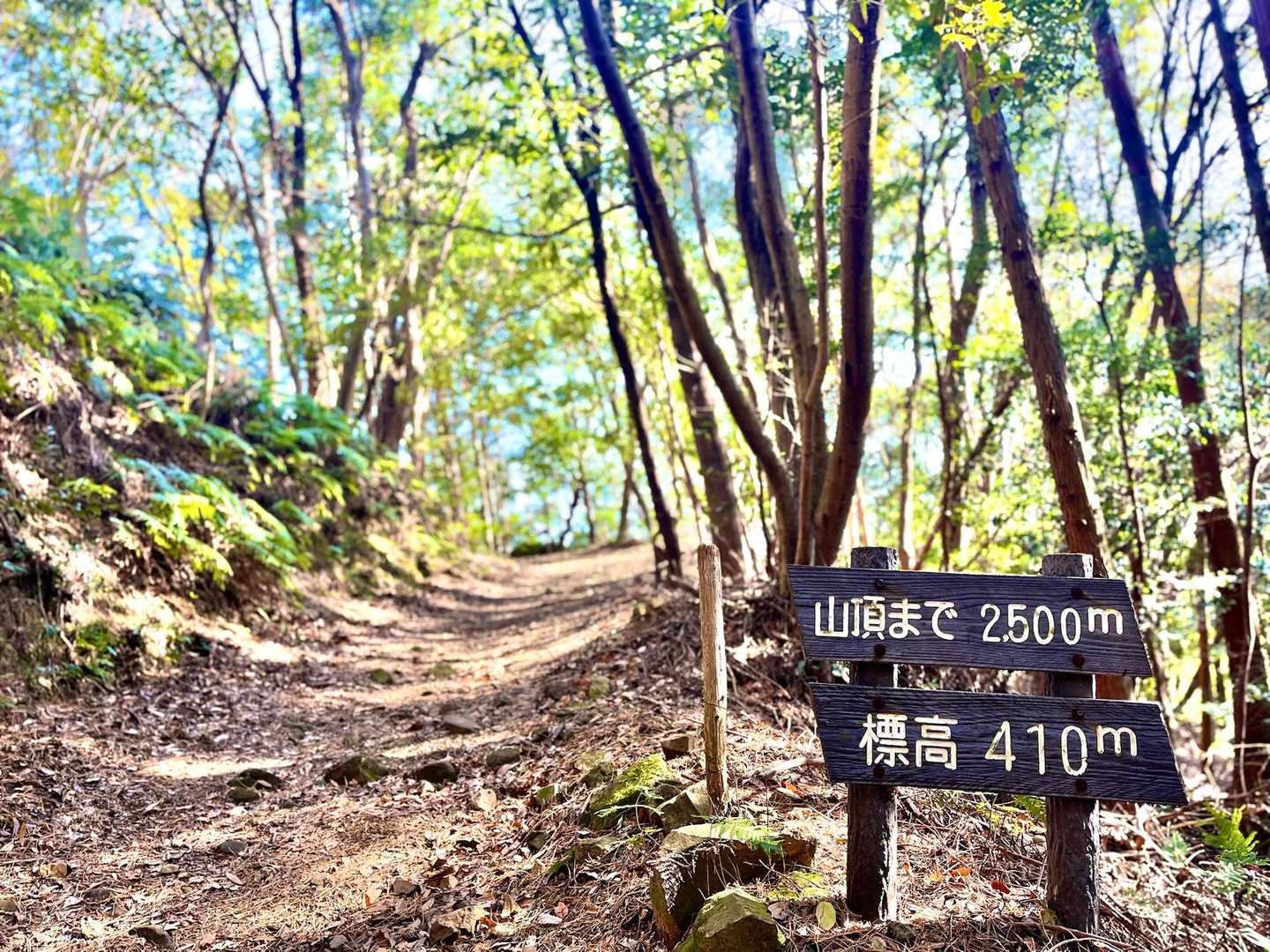 いつも綺麗に整備されてるなぁ🧹✨