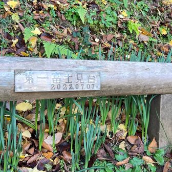 ですよね😭🗻
水仙の葉っぱらしきものがたくさん生えてたので、時期が来たら✨️✨️︎︎👍🏻︎︎