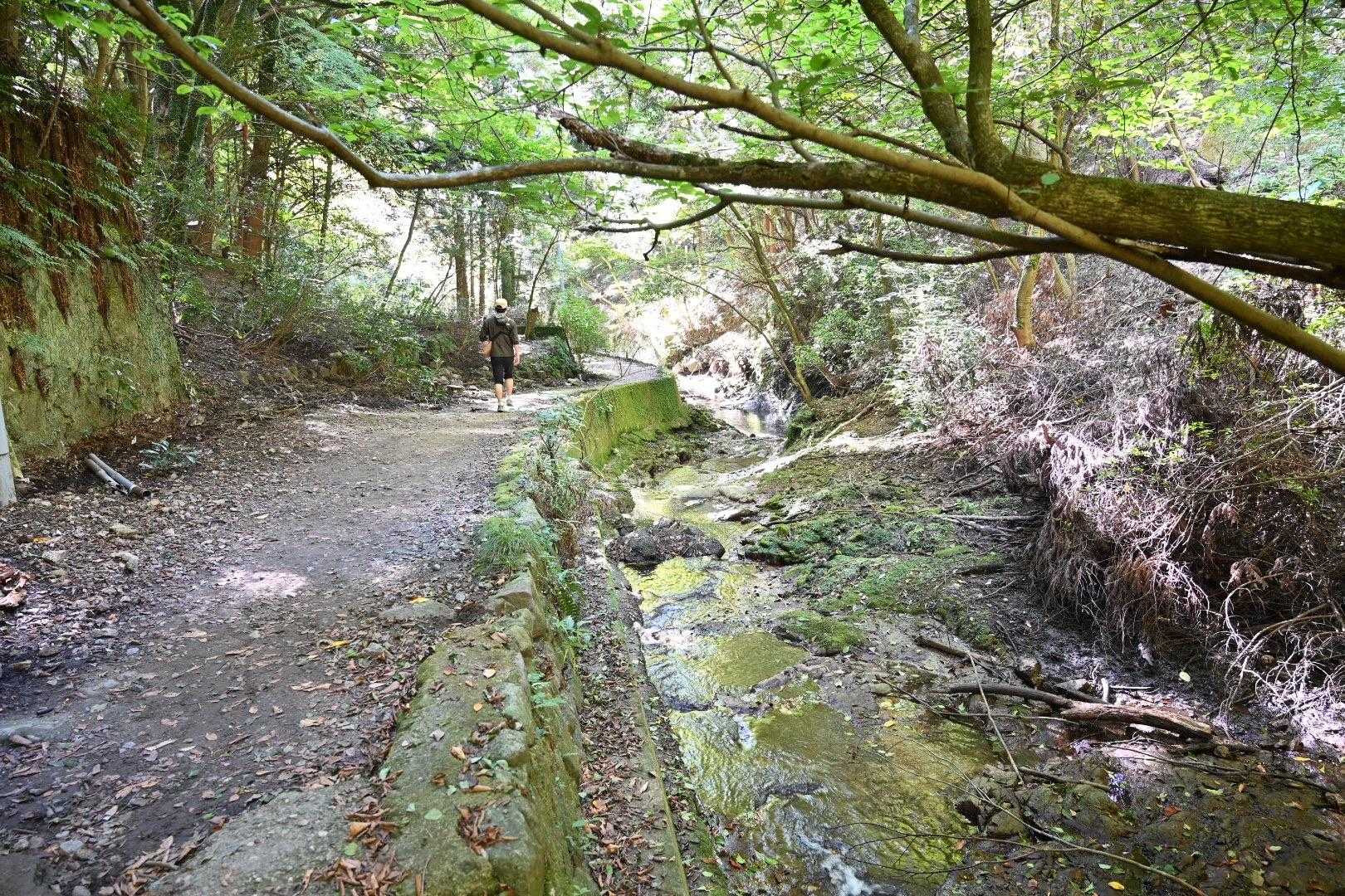 沢沿いの道