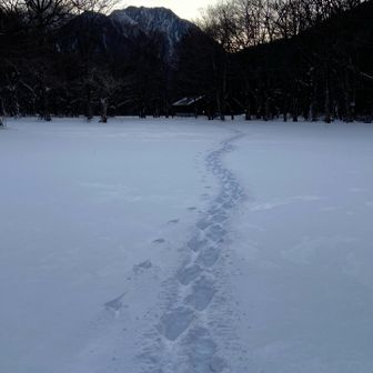 テント場へ帰ります。
股関節が無茶苦茶痛くなって来た😭
