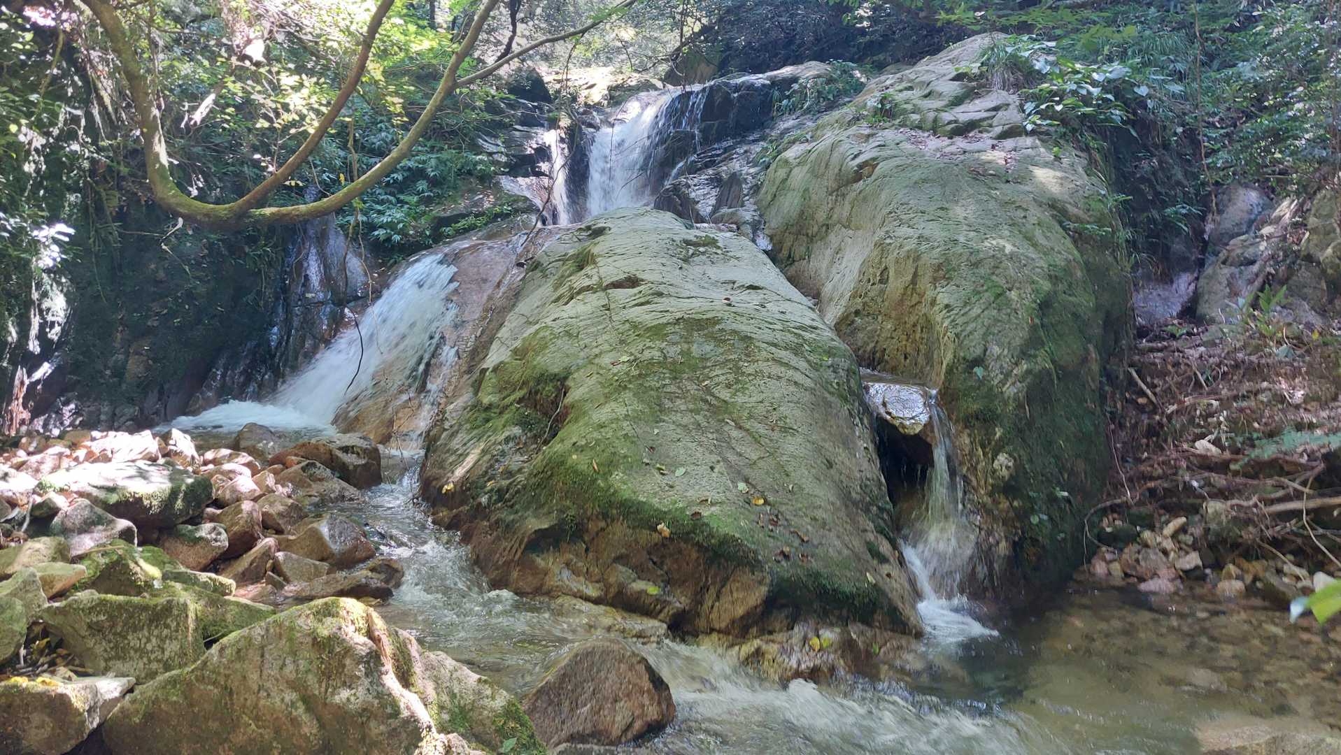 市橋登山口-岩籠山-インディアン平原 往復コースの写真
