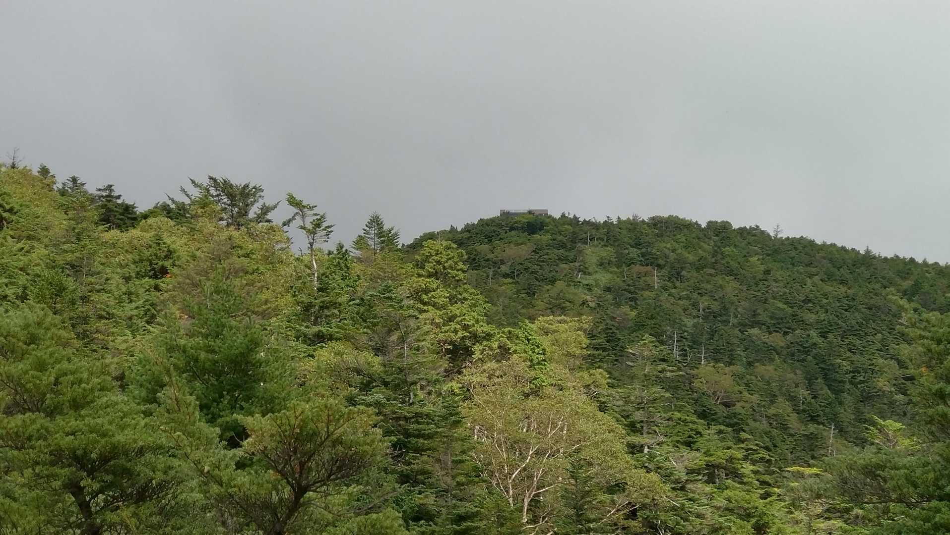少しガスってきたけど、あの上に小屋見えるよね！？
ここって小屋あるんだ！（下調べあんまりしてない男）