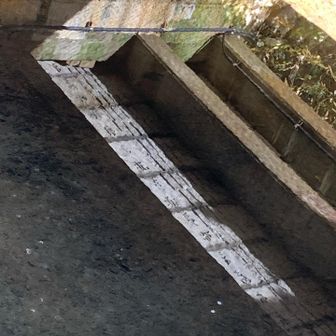 御廟橋裏面の梵字が川面に反射してます