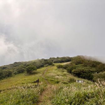 母は久しぶりの山歩なので無理せず、花を探しに女岳へ足を伸ばす🚶
一人だったら本当はツームシ山方面にトリカブトの花を見に行きたかった🪻