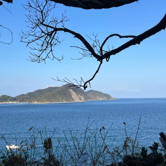 見えている島は地島