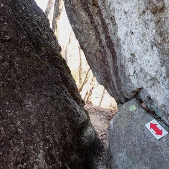 通れるか…

ザ、ザックが引っ掛かりました💦
