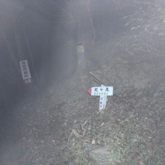 今日は暗い中スタートです😅
集合時間が早いんじゃい😤