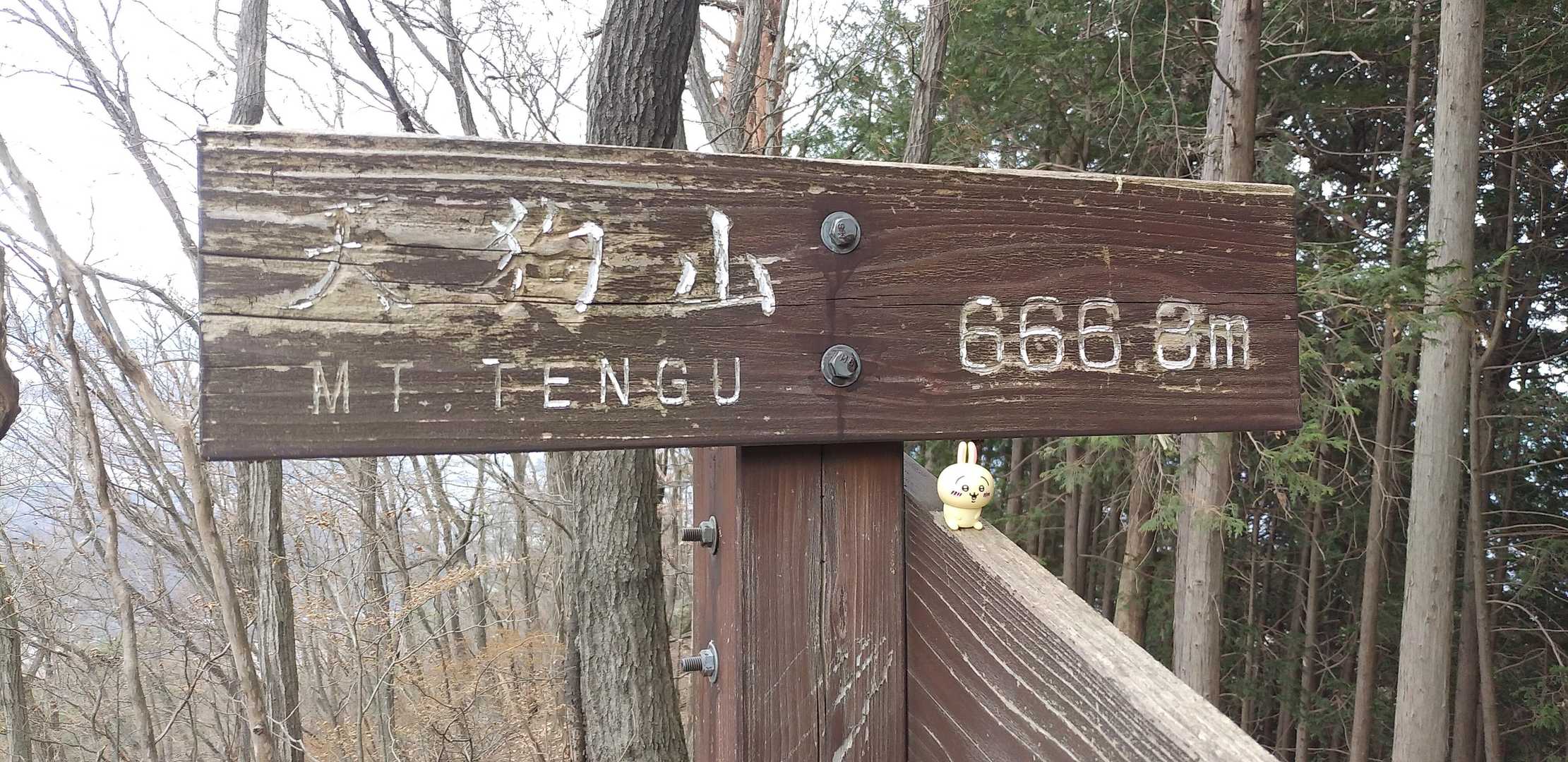 😲あっという間に山頂到着！