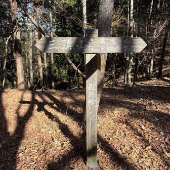 西原峠。こちらから仲の平バス停方面に下山します