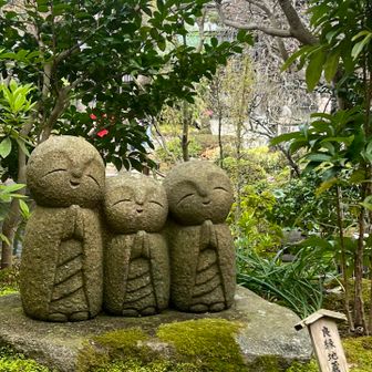 ホッコリする可愛らしさ