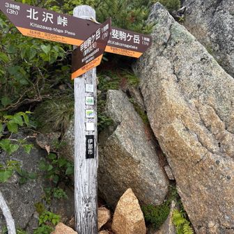 とうとう今回山行のメインイベント、直登ルートとの分岐です