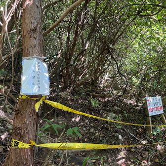 あれ？　立入禁止🈲
前回見た蜂の巣、スズメバチ🐝だったんだ
5合目から6合目は自然歩道で