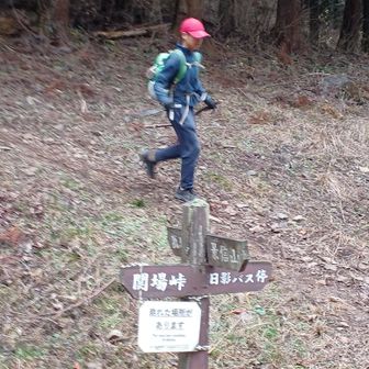 颯爽とトレランが高尾北稜から下山。このまま、景信山まで抜けるのでしょうか？姿勢がなんともかっこいい