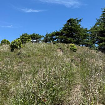 赤ゾレ山の山頂へ