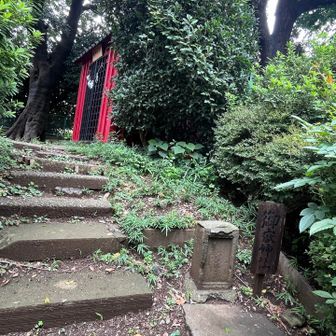 グルッと一周回ってもあるハズの三角点が発見できず🤔
※ 江戸時代に測量のための基準（三角点）として築かれた山という歴史はあるそうですが、石柱はないそうです😊