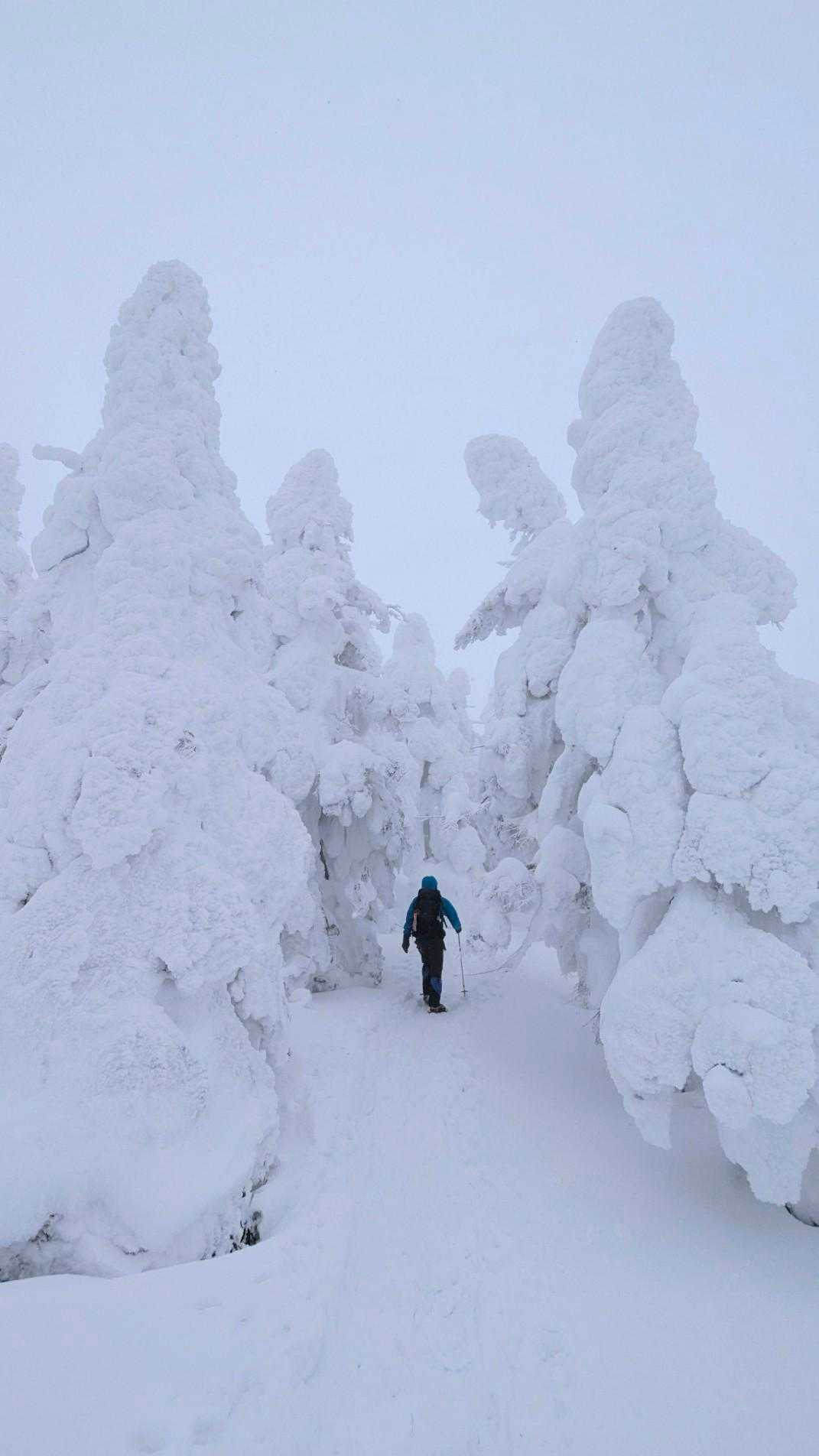 天元台コースの地図・登山ルート・登山口情報 | YAMAP / ヤマップ