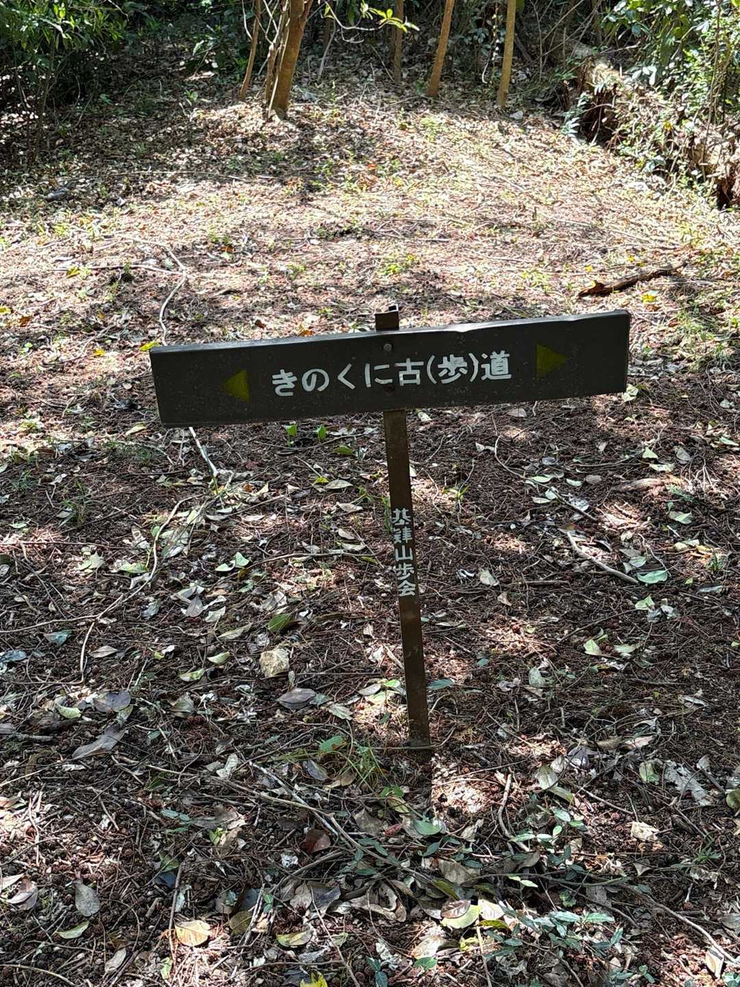 この後､我が家まで､スマホ消すの忘れた､やっぱり認知度進んでる😨