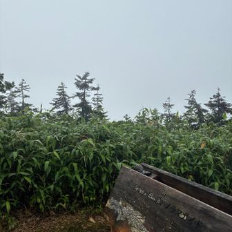ガスガスで眺望なし😅