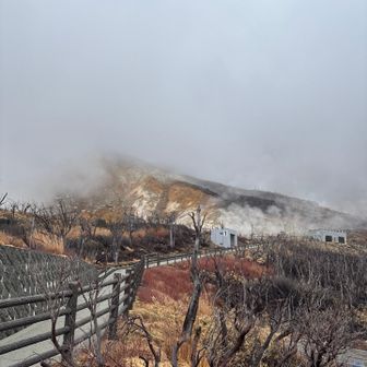 中には入れない