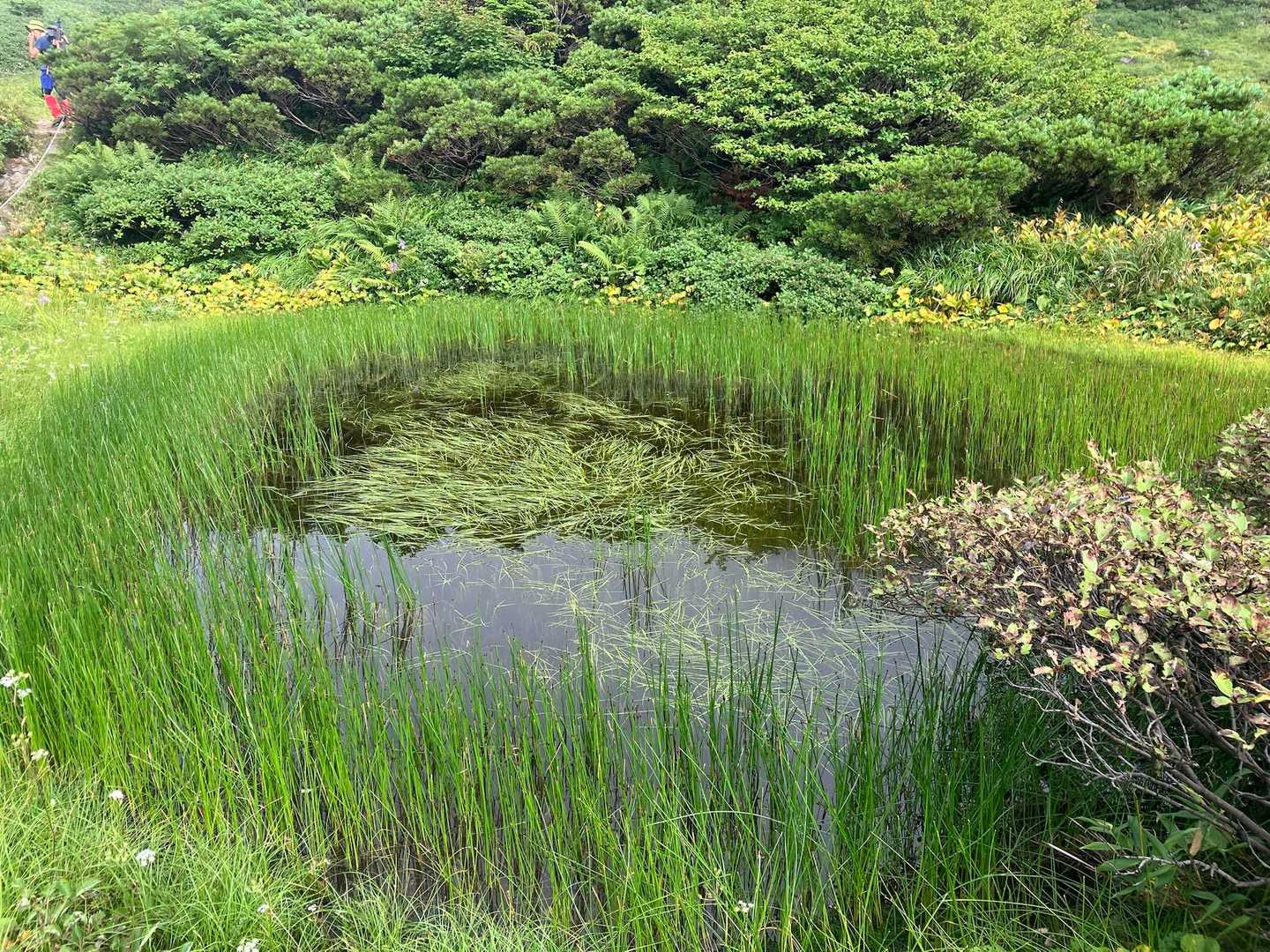 池