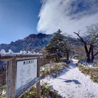 ただ、森の鳥たちはカチコチです❄️
