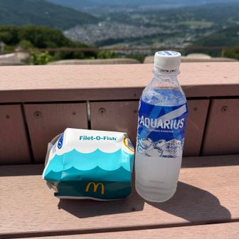 ここ見晴らし台で、池袋のMacで買ったフィレオフィッシュ🍔いただきました👍