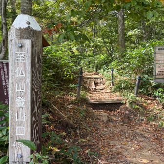 無事下山しました🎊🎊🎊
