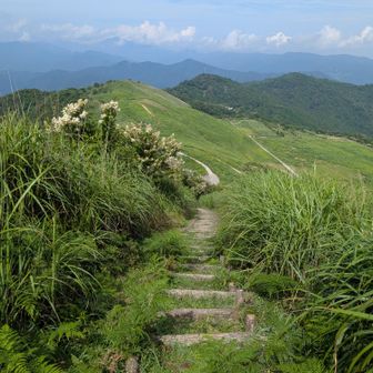 愛媛県側
霧の森キャンプ場への道
急登らしいw