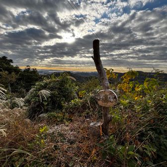 ここが三浦アルプス最高峰の茅塚です。最高峰といっても、212mしかありません。

「最高峰まで来ると、より高いところを目指したくなりますね」