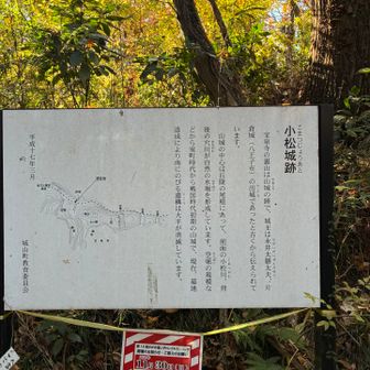 こちらからスタート
レッツゴリゴリ🚶‍♀️💨