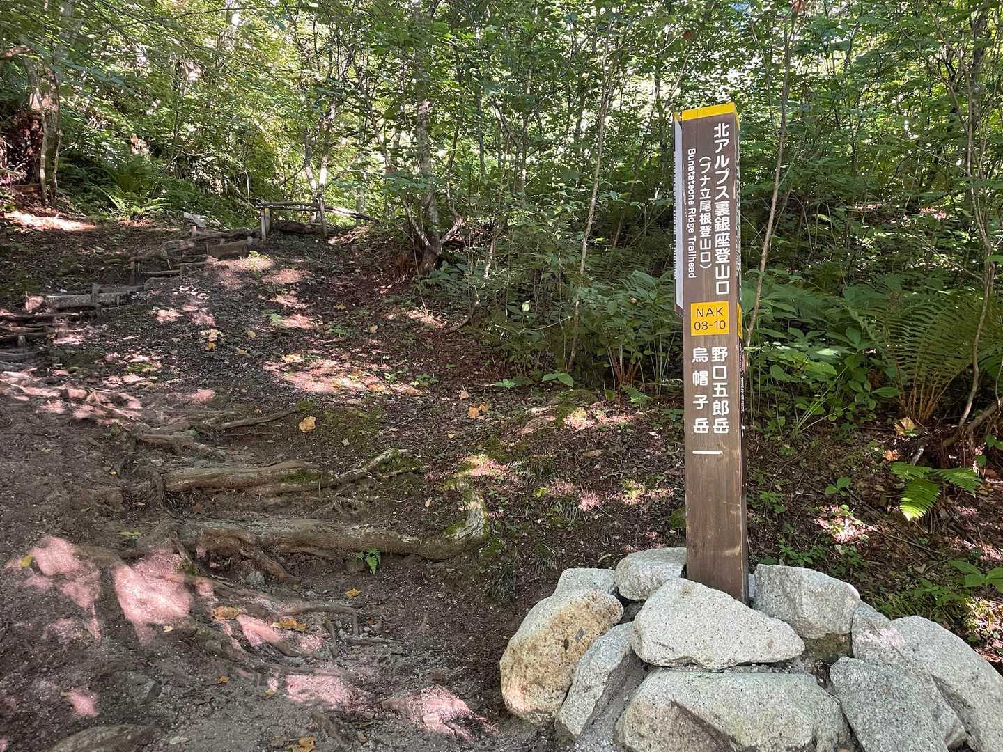 北アルプス三大急登のブナ立尾根を登ります。
マジ急登しかも背中がめちゃくちゃ重い（笑）😅💦