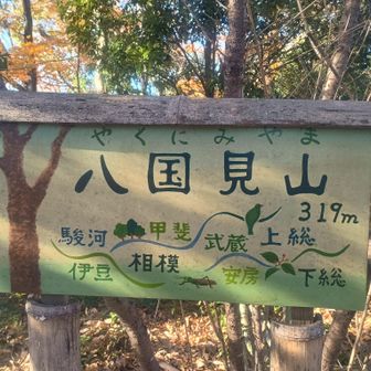 山頂にある標が可愛い❤　

って、あれ？標高300ｍ超えてる…（タイトルに偽りあり😅）