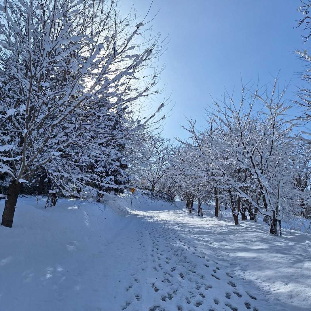 車で山頂まで行けるようですが、徒歩にて。