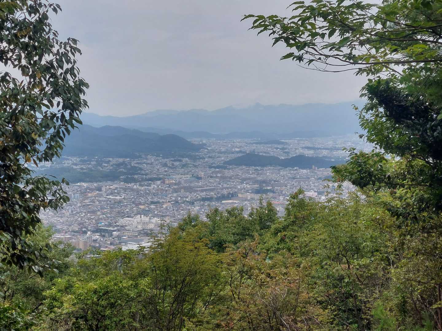霞んでる