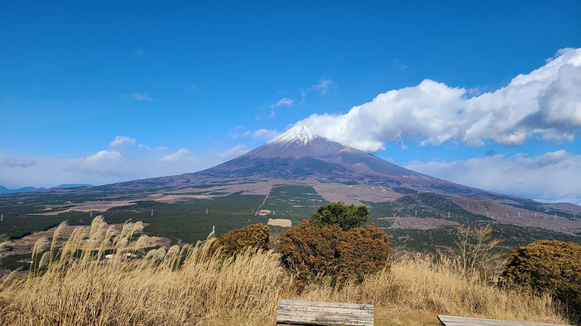 富士山見れて最高でした！