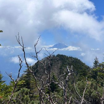 名残惜しいけど下山〜