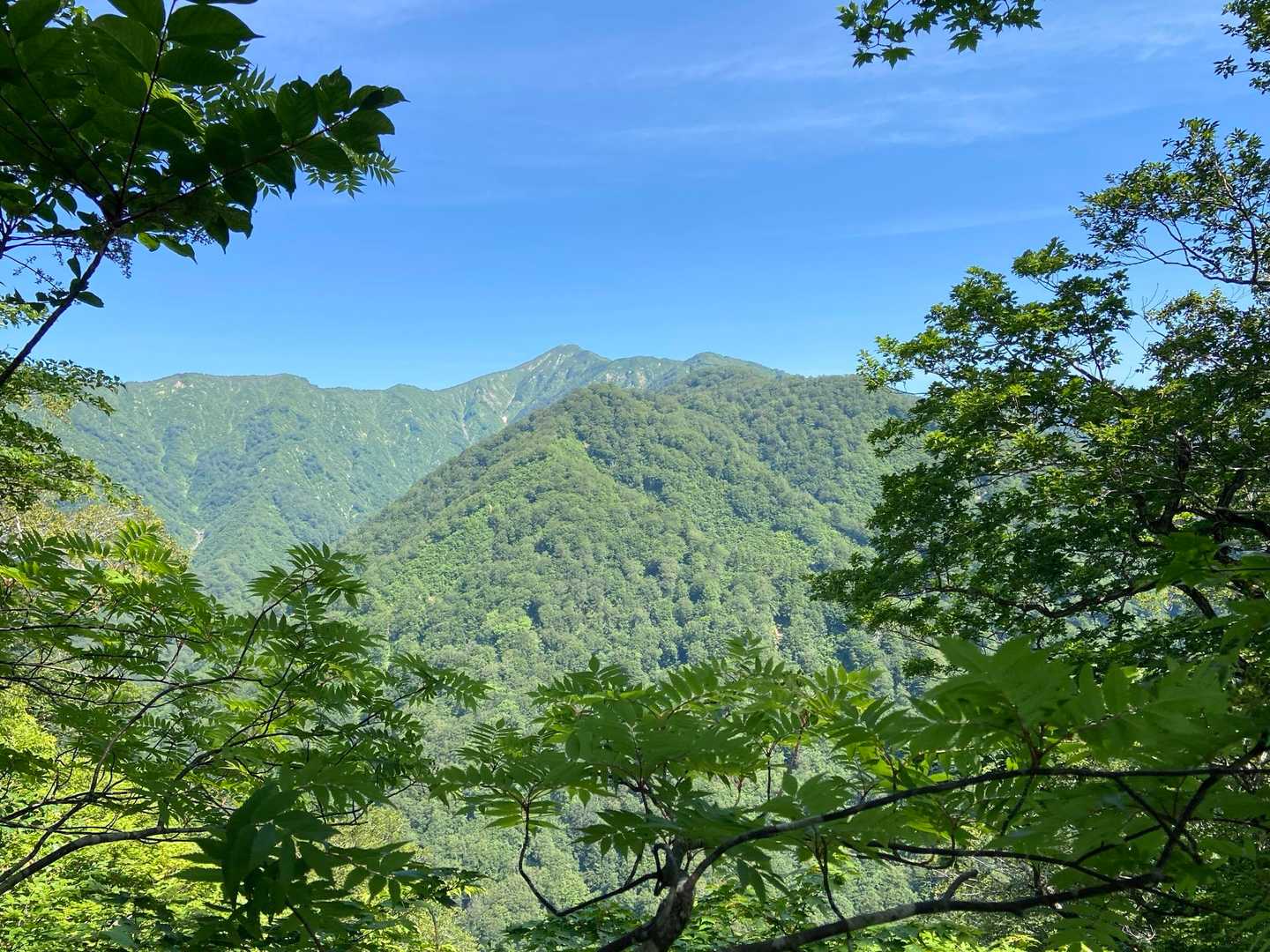 登山口撮り忘れ
木々の間から神室山⛰️😃✨

スタートから1時間経過、
現在地を見てまだ序盤！？と
早くも心が折れかける🥲