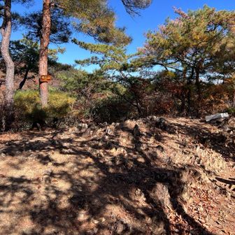 新たに登録された明石焼きがうまそうな明石山。
ここは、足百じゃないっぽい。
だから登録が遅かったのか。
すみません、後で確認したら足百132と書いてありました😅
140座もあるらしい⁉️