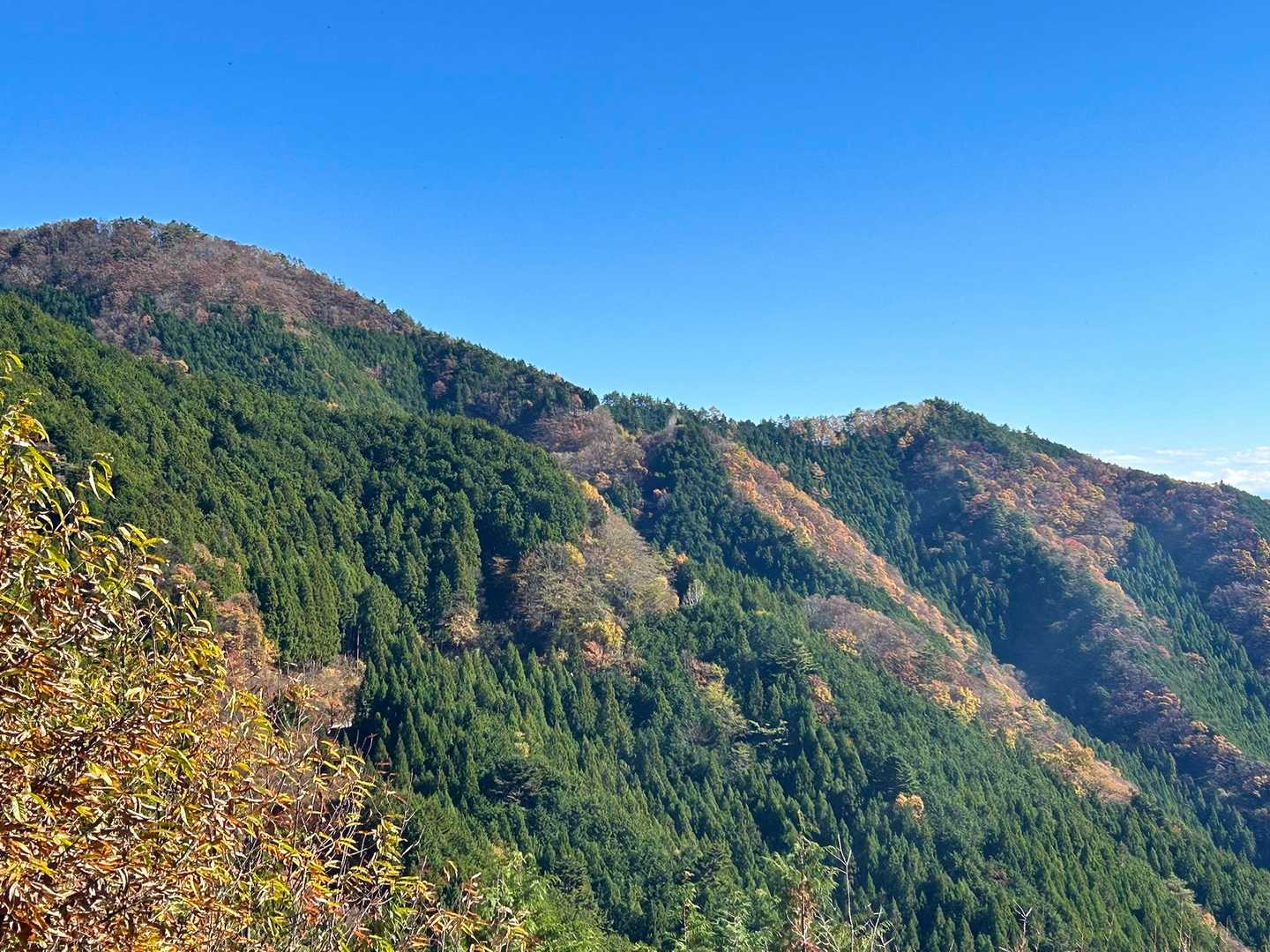 森林館-大滝休憩小屋-ムシカリ峠-三頭山-三頭山-三頭山- 周回コースの写真