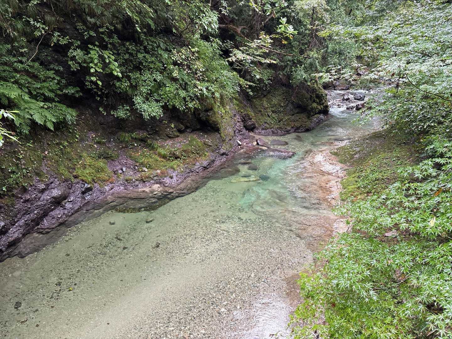 二番目の橋から撮影
さっきまで雨なのにとても綺麗な川です👀