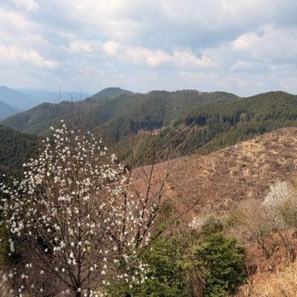 眺望が良くて楽しい😊