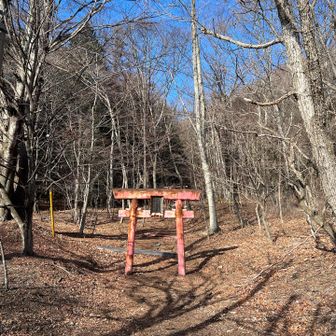 鳥居⛩️が3つもある